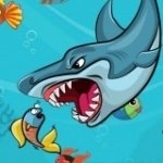 Картинка Fat Shark